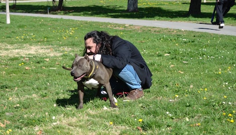 犬のため妻のため自分のため