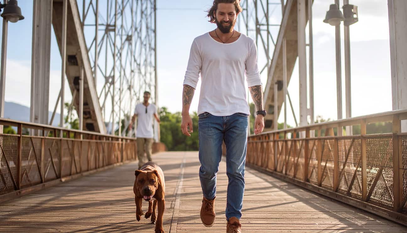 愛犬のために全てを捧げる復讐劇…