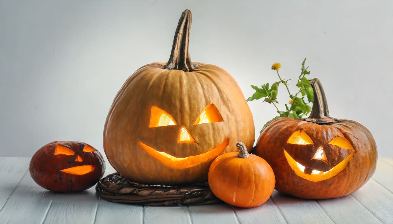 ハロウィン当日はこの2本！