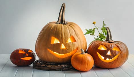 ハロウィン当日はこの2本！