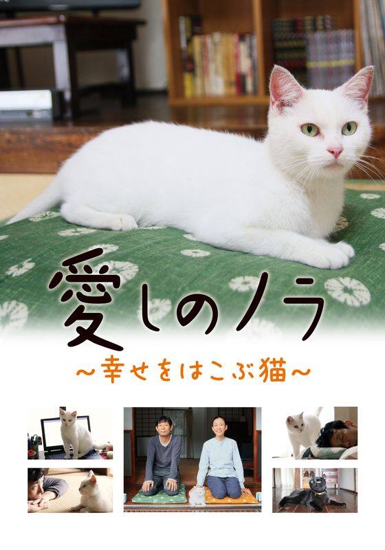 愛しのノラ　～幸せをはこぶ猫～