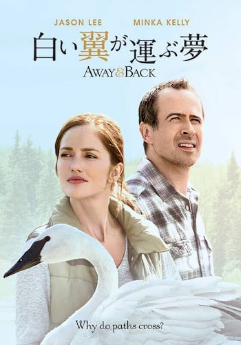 白い翼が運ぶ夢