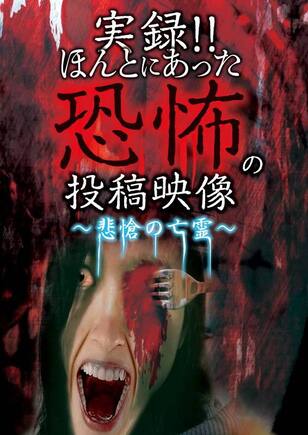 実録!!ほんとにあった恐怖の投稿映像～悲愴の亡霊～