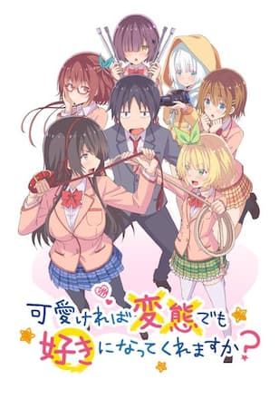 可愛ければ変態でも好きになってくれますか？