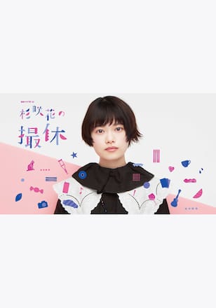 杉咲花の撮休