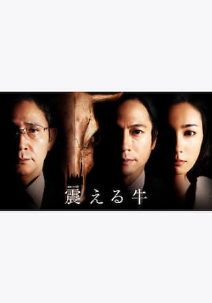 震える牛
