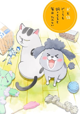 犬と猫どっちも飼ってると毎日たのしい
