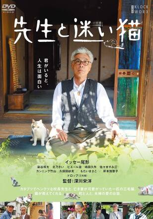 先生と迷い猫