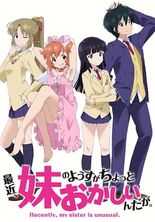 最近、妹のようすがちょっとおかしいんだが。（TV版）