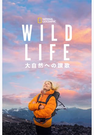 WILD LIFE 大自然への讃歌