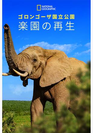 ゴロンゴーザ国立公園 楽園の再生