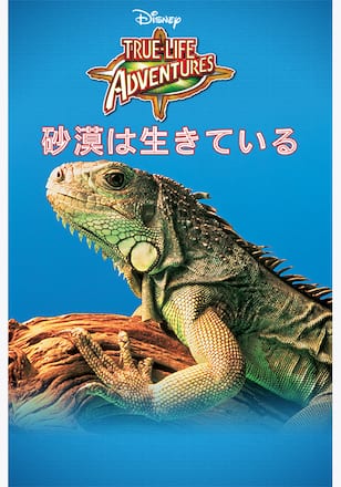 砂漠は生きている