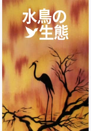 水鳥の生態