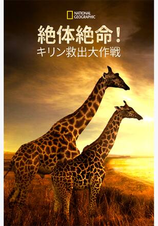 絶体絶命!キリン救出大作戦