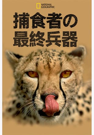 捕食者の最終兵器 シーズン1