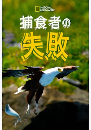 捕食者の失敗 シーズン1