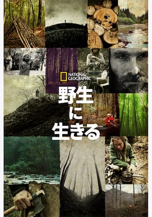 野生に生きる シーズン2