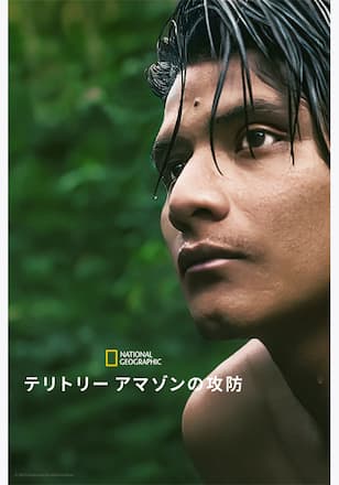 テリトリー アマゾンの攻防