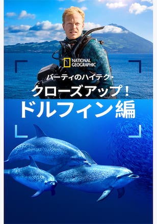 バーティのハイテク・クローズアップ！ドルフィン編