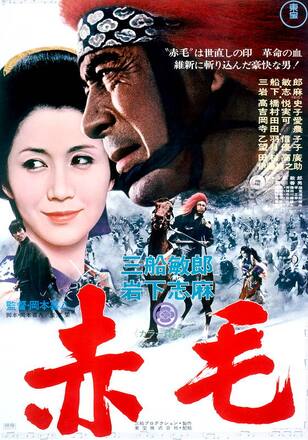 赤毛