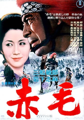 赤毛