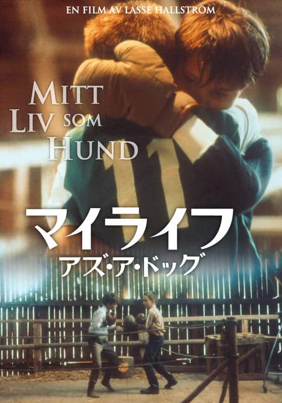 マイライフ アズ・ア・ドッグ B2ポスター 【公式通販】