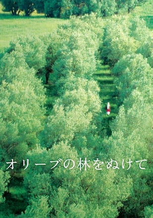 オリーブの林をぬけて