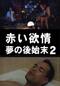 赤い欲情 夢の後始末2