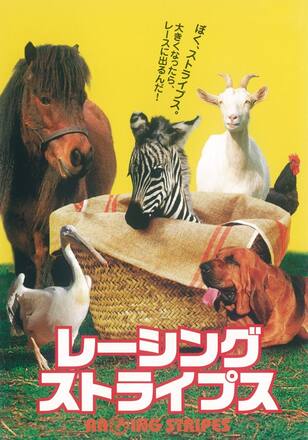 レーシング・ストライプス