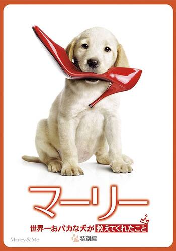 マーリー 世界一おバカな犬が教えてくれたこと