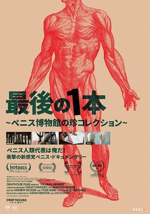 最後の1本 ～ペニス博物館の珍コレクション～