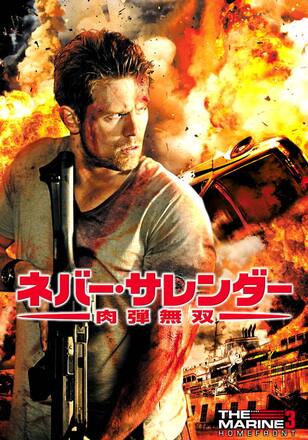 ネバー・サレンダー 肉弾無双