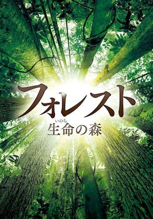 フォレスト 生命の森