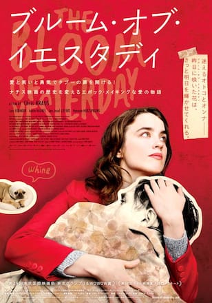 ブルーム・オブ・イエスタディ