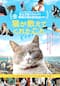 猫が教えてくれたこと