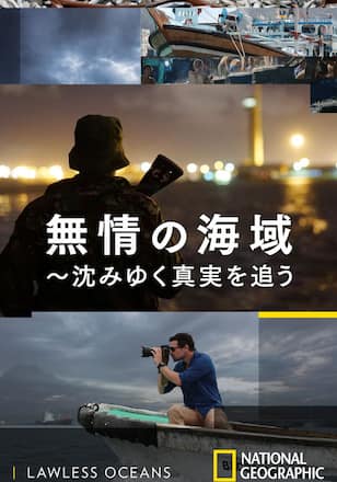 無情の海域 ～沈みゆく真実を追う