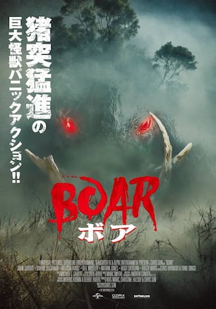 ボア
