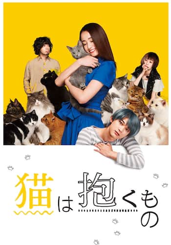 猫は抱くもの