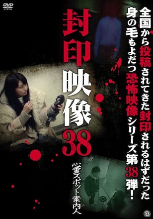 封印映像38　心霊スポット案内人