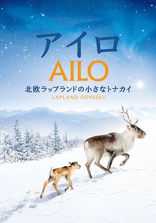 アイロ ～北欧ラップランドの小さなトナカイ～