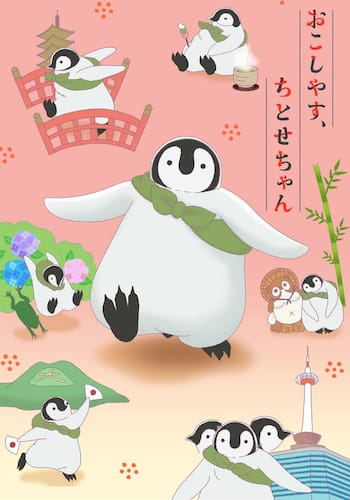おこしやす、ちとせちゃん