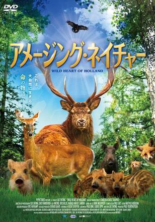 アメージング・ネイチャー