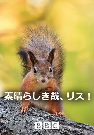 素晴らしき哉、リス!