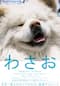 わさお