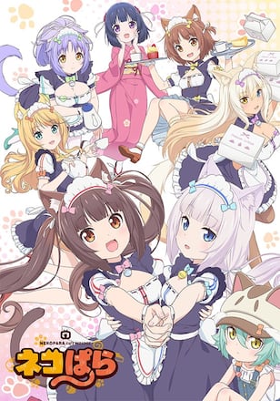 ネコぱら
