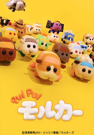 PUI PUI モルカー