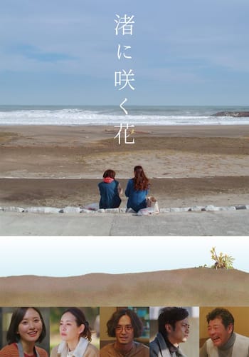 渚に咲く花