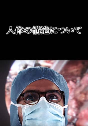 人体の構造について