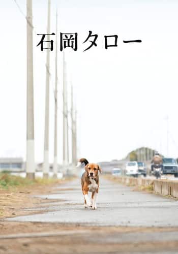 石岡タロー