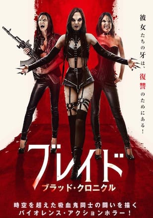ブレイド ブラッド・クロニクル